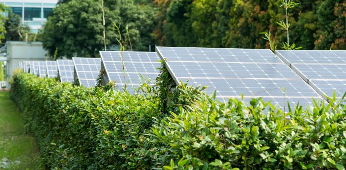 Commercial Solar Solutions